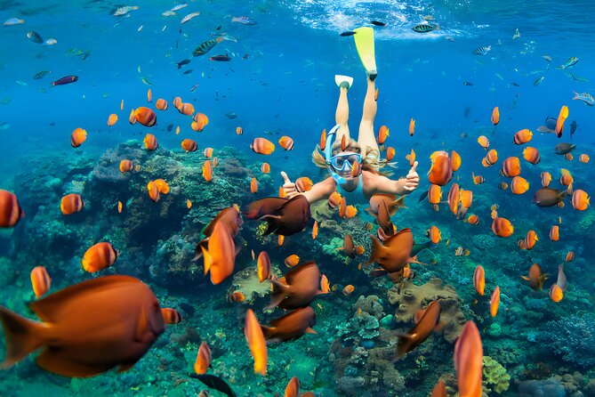 West Nusa Penida Island Snorkeling Tour - From Bali Island - The 6:30 am start from Bali