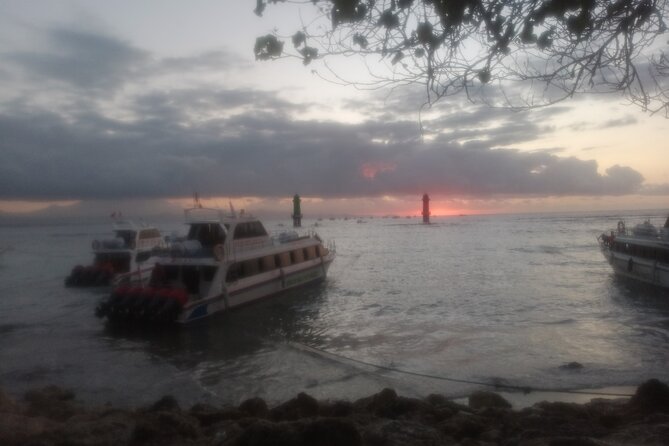West Nusa Penida With Snorkeling Private Guided Tour - Lunch, coconut, and the value of the package