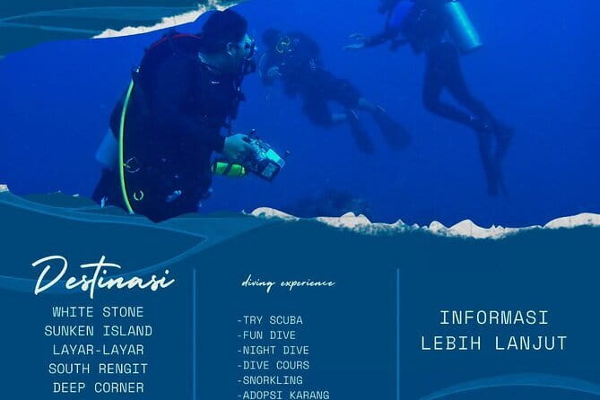 Whale Shark Adventure 2 Days 1 Night Sharing Trip - Shared travel requires clear expectations