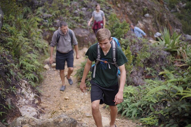 Wonderful 7 Days North Sumatra Tour (Include: 2 Days 1 Night Jungle Trekking) - Days 2 and 3: Orangutans and a night beside the river